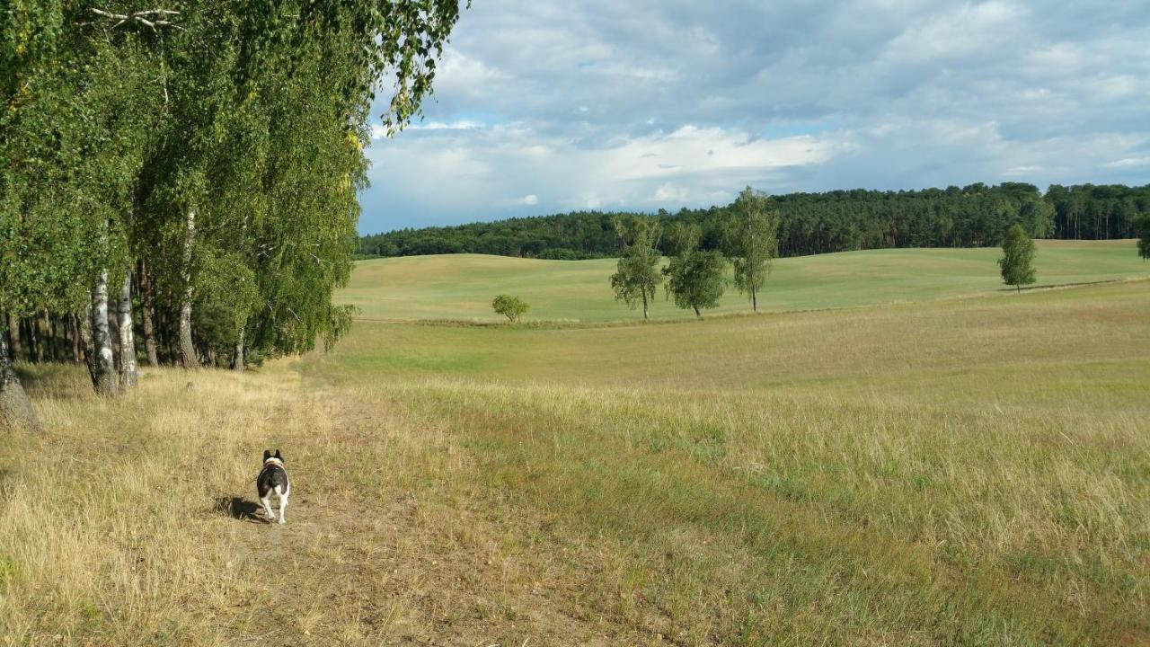 Haus An Der Pferdekoppel Am Blankenburger See Blankenburg  Bagian luar foto