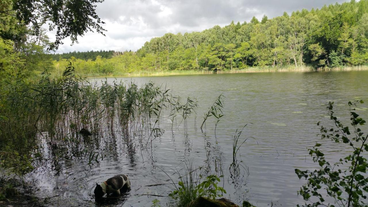 Haus An Der Pferdekoppel Am Blankenburger See Blankenburg  Bagian luar foto