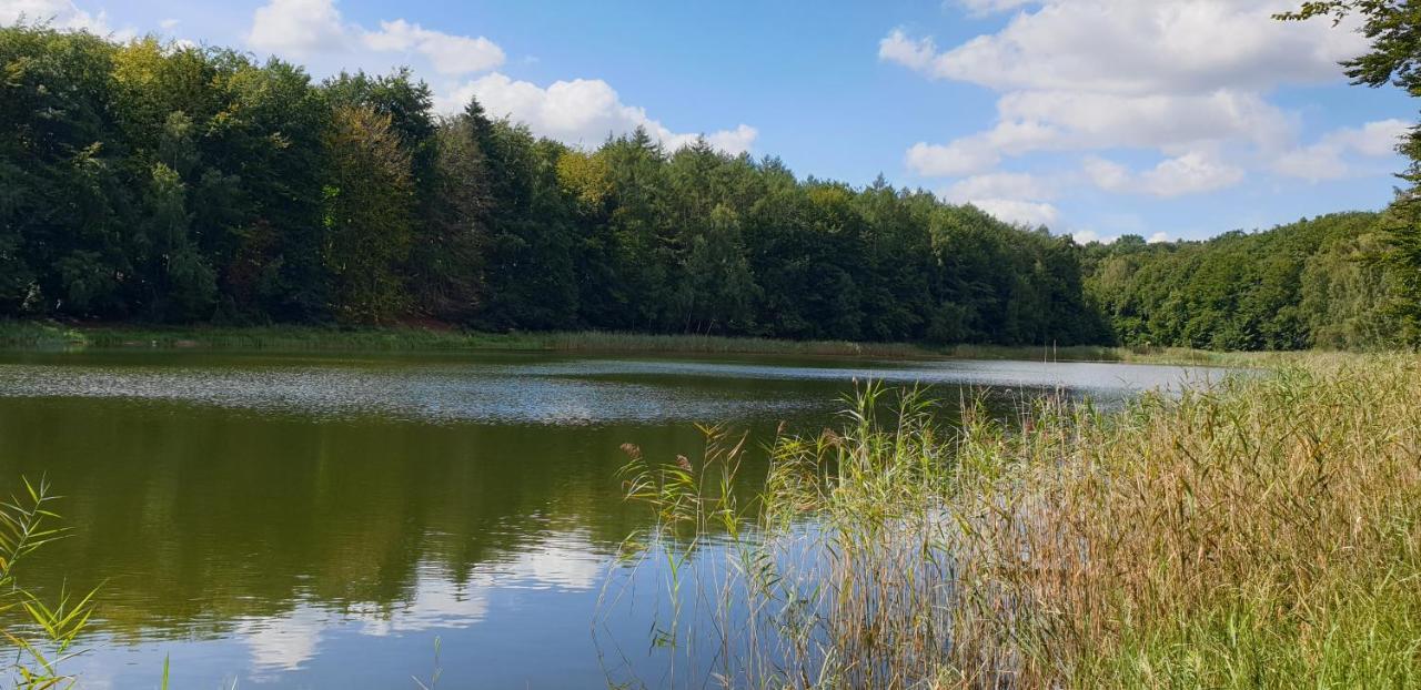 Haus An Der Pferdekoppel Am Blankenburger See Blankenburg  Bagian luar foto